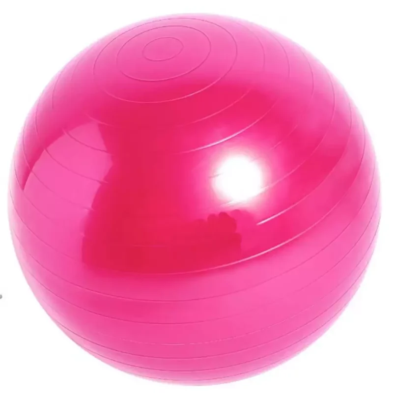 Balance Ball 65cm Pink